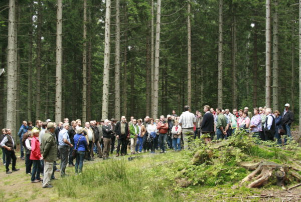 Forstexkursion 2016