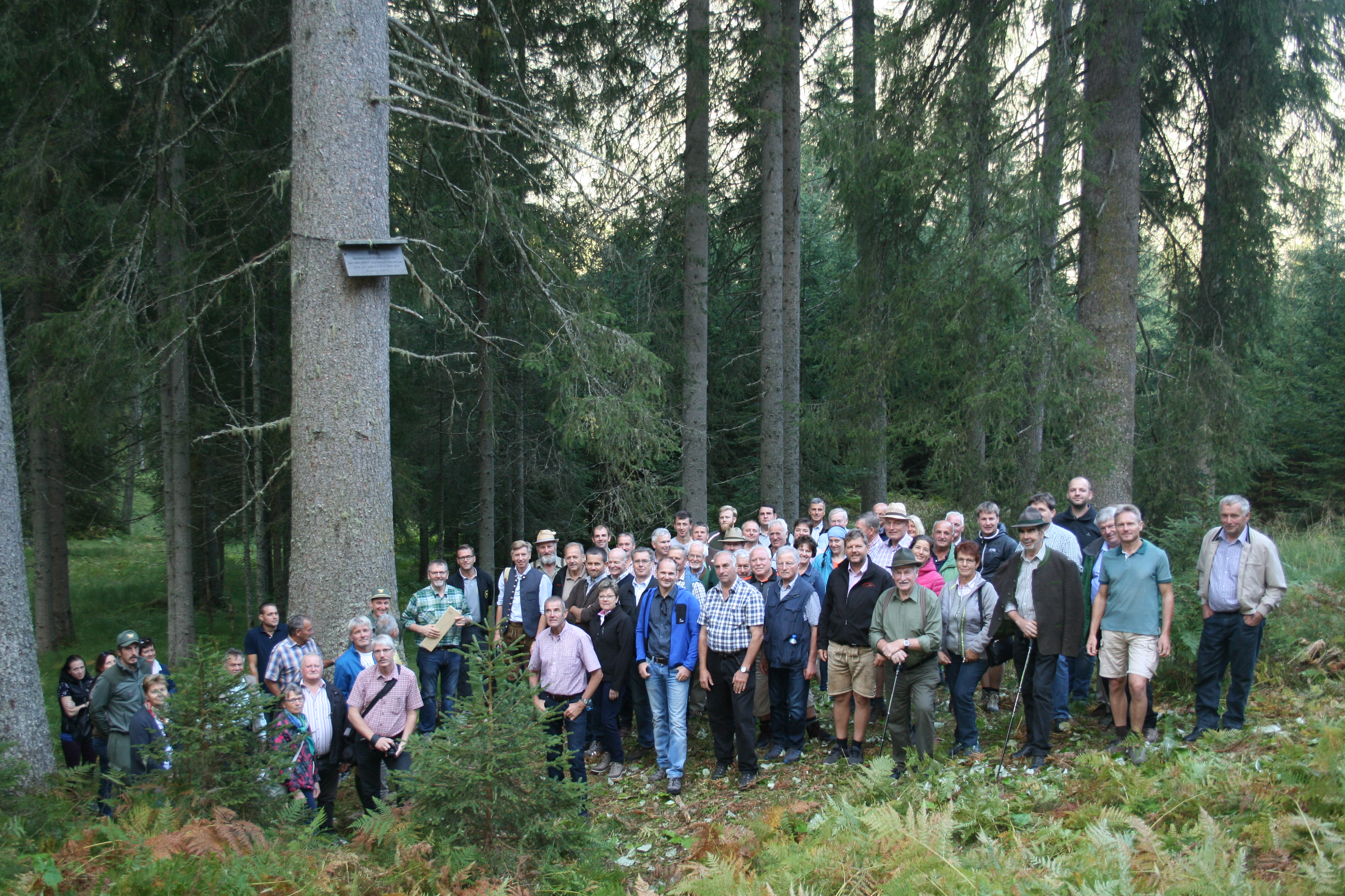 Gebirgsholz – ein Schatz unserer alpinen Region